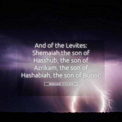 Picture 05 - Nehemiah 11:15 ASV - And of the Levites: Shemaiah the son of Hasshub, - Bible Verse Picture