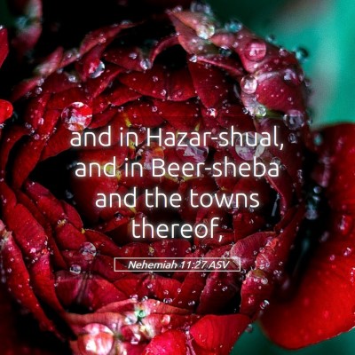 Picture 05 - Nehemiah 11:27 ASV - and in Hazar-shual, and in Beer-sheba and the - Bible Verse Picture