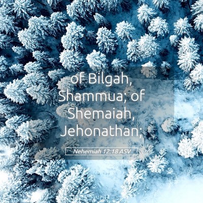 Picture 05 - Nehemiah 12:18 ASV - of Bilgah, Shammua; of Shemaiah, - Bible Verse Picture