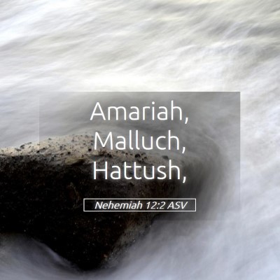 Picture 05 - Nehemiah 12:2 ASV - Amariah, Malluch, - Bible Verse Picture