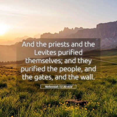 Picture 05 - Nehemiah 12:30 ASV - And the priests and the Levites purified - Bible Verse Picture