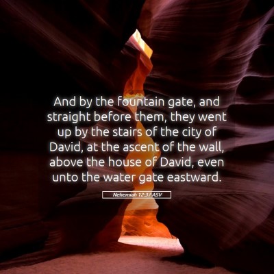 Picture 05 - Nehemiah 12:37 ASV - And by the fountain gate, and straight before - Bible Verse Picture