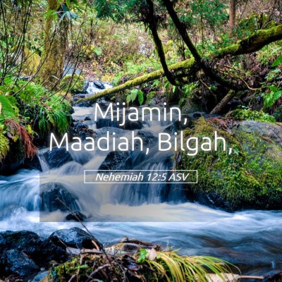 Picture 05 - Nehemiah 12:5 ASV - Mijamin, Maadiah, - Bible Verse Picture