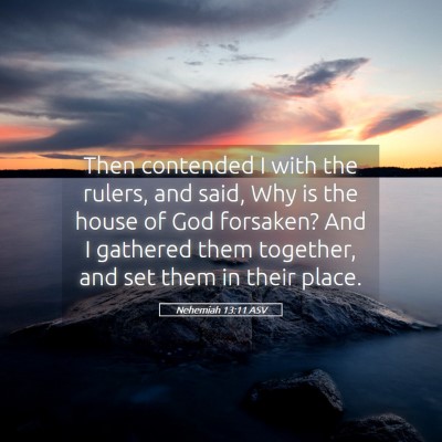 Picture 05 - Nehemiah 13:11 ASV - Then contended I with the rulers, and said, Why - Bible Verse Picture