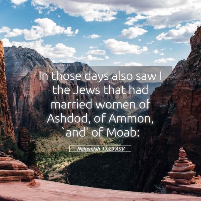 Picture 05 - Nehemiah 13:23 ASV - In those days also saw I the Jews that had - Bible Verse Picture