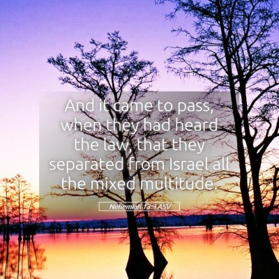 Picture 05 - Nehemiah 13:3 ASV - And it came to pass, when they had heard the law, - Bible Verse Picture