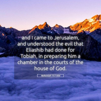 Picture 05 - Nehemiah 13:7 ASV - and I came to Jerusalem, and understood the evil - Bible Verse Picture