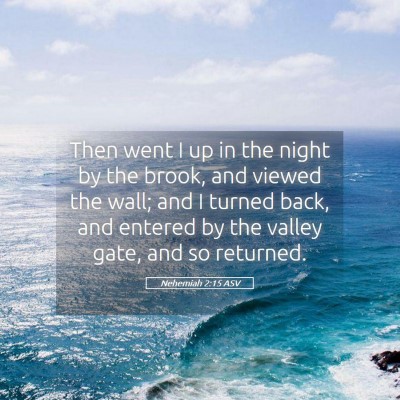 Picture 05 - Nehemiah 2:15 ASV - Then went I up in the night by the brook, and - Bible Verse Picture