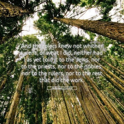 Picture 05 - Nehemiah 2:16 ASV - And the rulers knew not whither I went, or what I - Bible Verse Picture