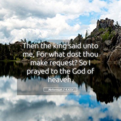 Picture 05 - Nehemiah 2:4 ASV - Then the king said unto me, For what dost thou - Bible Verse Picture