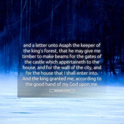 Picture 05 - Nehemiah 2:8 ASV - and a letter unto Asaph the keeper of the king's - Bible Verse Picture