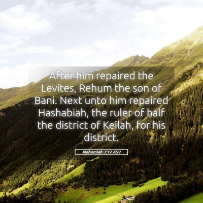 Picture 05 - Nehemiah 3:17 ASV - After him repaired the Levites, Rehum the son of - Bible Verse Picture