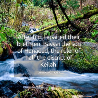 Picture 05 - Nehemiah 3:18 ASV - After him repaired their brethren, Bavvai the son - Bible Verse Picture