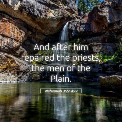 Picture 05 - Nehemiah 3:22 ASV - And after him repaired the priests, the men of - Bible Verse Picture