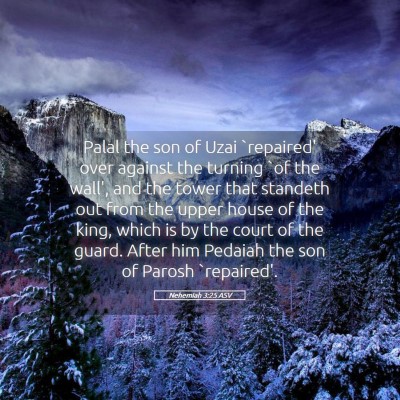 Picture 05 - Nehemiah 3:25 ASV - Palal the son of Uzai `repaired' over against the - Bible Verse Picture