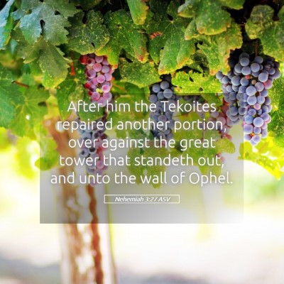 Picture 05 - Nehemiah 3:27 ASV - After him the Tekoites repaired another portion, - Bible Verse Picture