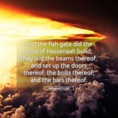 Picture 05 - Nehemiah 3:3 ASV - And the fish gate did the sons of Hassenaah - Bible Verse Picture