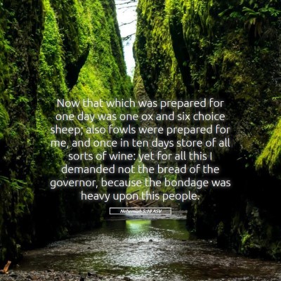 Picture 05 - Nehemiah 5:18 ASV - Now that which was prepared for one day was one - Bible Verse Picture