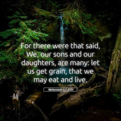 Picture 05 - Nehemiah 5:2 ASV - For there were that said, We, our sons and our - Bible Verse Picture