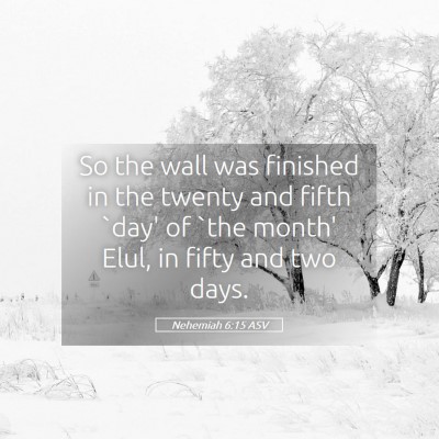 Picture 05 - Nehemiah 6:15 ASV - So the wall was finished in the twenty and fifth - Bible Verse Picture