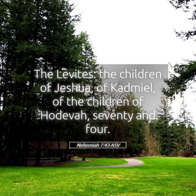 Picture 05 - Nehemiah 7:43 ASV - The Levites: the children of Jeshua, of Kadmiel, - Bible Verse Picture