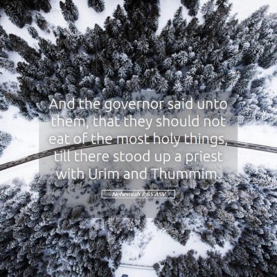 Picture 05 - Nehemiah 7:65 ASV - And the governor said unto them, that they should - Bible Verse Picture