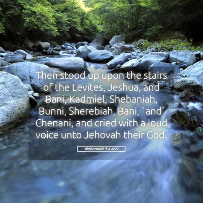 Picture 05 - Nehemiah 9:4 ASV - Then stood up upon the stairs of the Levites, - Bible Verse Picture