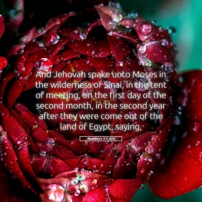 Picture 05 - Numbers 1:1 ASV - And Jehovah spake unto Moses in the wilderness of - Bible Verse Picture