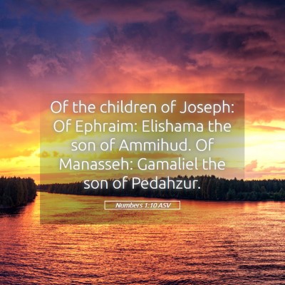 Picture 05 - Numbers 1:10 ASV - Of the children of Joseph: Of Ephraim: Elishama - Bible Verse Picture
