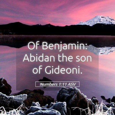 Picture 05 - Numbers 1:11 ASV - Of Benjamin: Abidan the son of - Bible Verse Picture