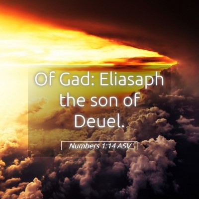 Picture 05 - Numbers 1:14 ASV - Of Gad: Eliasaph the son of - Bible Verse Picture