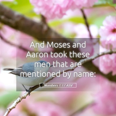 Picture 05 - Numbers 1:17 ASV - And Moses and Aaron took these men that are - Bible Verse Picture