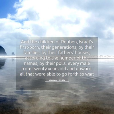 Picture 05 - Numbers 1:20 ASV - And the children of Reuben, Israel's first-born, - Bible Verse Picture