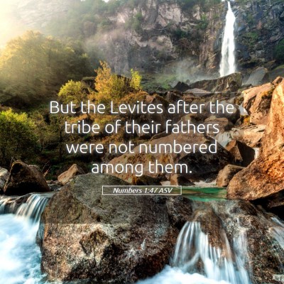 Picture 05 - Numbers 1:47 ASV - But the Levites after the tribe of their fathers - Bible Verse Picture