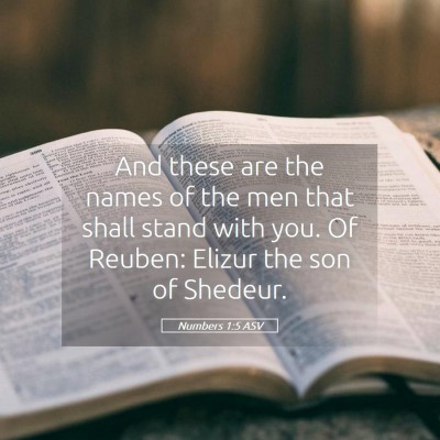 Picture 05 - Numbers 1:5 ASV - And these are the names of the men that shall - Bible Verse Picture