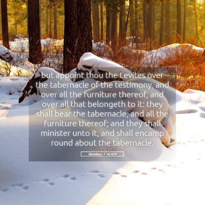 Picture 05 - Numbers 1:50 ASV - but appoint thou the Levites over the tabernacle - Bible Verse Picture