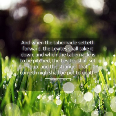 Picture 05 - Numbers 1:51 ASV - And when the tabernacle setteth forward, the - Bible Verse Picture