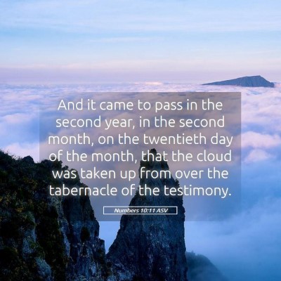 Picture 05 - Numbers 10:11 ASV - And it came to pass in the second year, in the - Bible Verse Picture