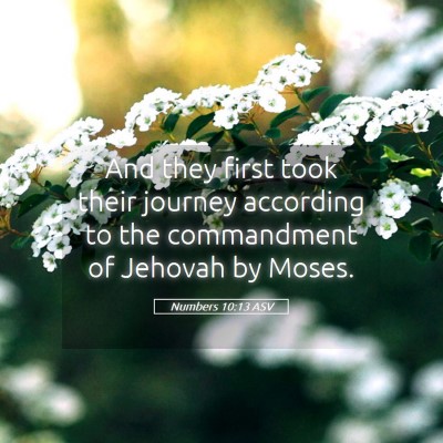 Picture 05 - Numbers 10:13 ASV - And they first took their journey according to - Bible Verse Picture