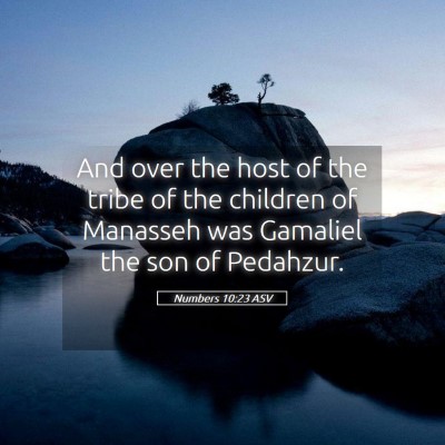 Picture 05 - Numbers 10:23 ASV - And over the host of the tribe of the children of - Bible Verse Picture