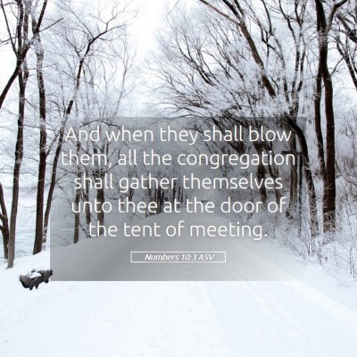 Picture 05 - Numbers 10:3 ASV - And when they shall blow them, all the - Bible Verse Picture