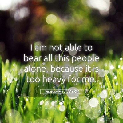 Picture 05 - Numbers 11:14 ASV - I am not able to bear all this people alone, - Bible Verse Picture