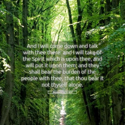 Picture 05 - Numbers 11:17 ASV - And I will come down and talk with thee there: - Bible Verse Picture