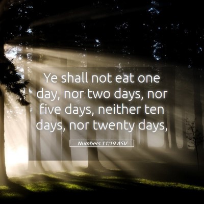 Picture 05 - Numbers 11:19 ASV - Ye shall not eat one day, nor two days, nor five - Bible Verse Picture