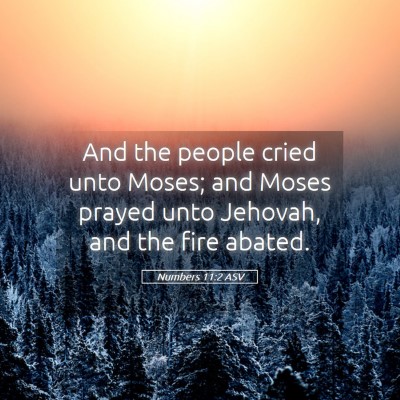 Picture 05 - Numbers 11:2 ASV - And the people cried unto Moses; and Moses prayed - Bible Verse Picture
