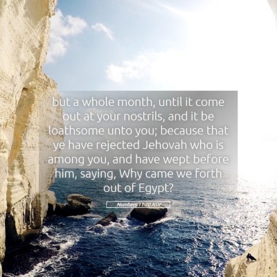 Picture 05 - Numbers 11:20 ASV - but a whole month, until it come out at your - Bible Verse Picture