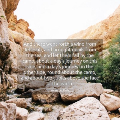 Picture 05 - Numbers 11:31 ASV - And there went forth a wind from Jehovah, and - Bible Verse Picture