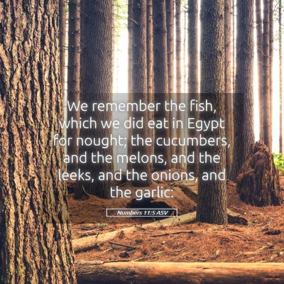 Picture 05 - Numbers 11:5 ASV - We remember the fish, which we did eat in Egypt - Bible Verse Picture