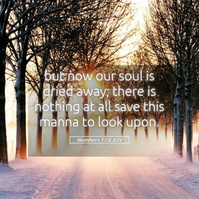 Picture 05 - Numbers 11:6 ASV - but now our soul is dried away; there is nothing - Bible Verse Picture