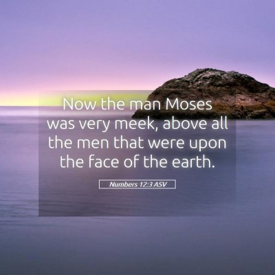 Picture 05 - Numbers 12:3 ASV - Now the man Moses was very meek, above all the - Bible Verse Picture